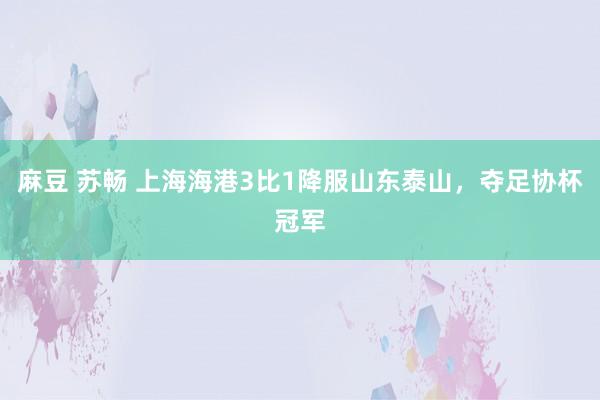 麻豆 苏畅 上海海港3比1降服山东泰山，夺足协杯冠军