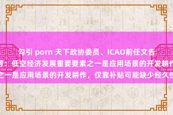 勾引 porn 天下政协委员、ICAO前任文告长、民航局原党构成员柳芳：低空经济发展重要要素之一是应用场景的开发耕作，仅靠补贴可能缺少经久性