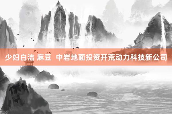 少妇白洁 麻豆  中岩地面投资开荒动力科技新公司